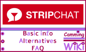 Stripchat Webcam Site Review