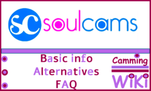 SoulCams Webcam Site Review