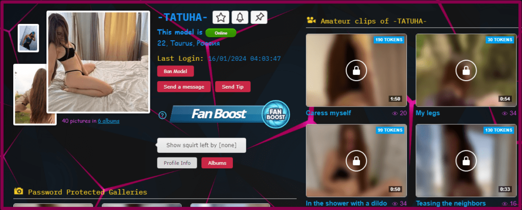 Personal webcam model page